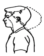 Exercises