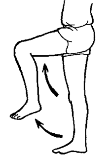 Lymph Drainage