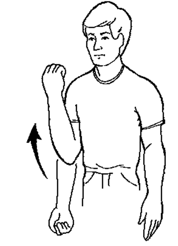 Exercises