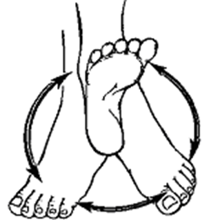 Exercises