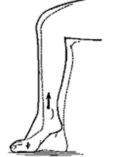 Exercises
