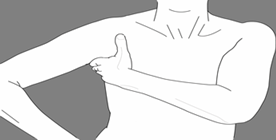 SLD
