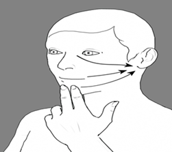 SLD