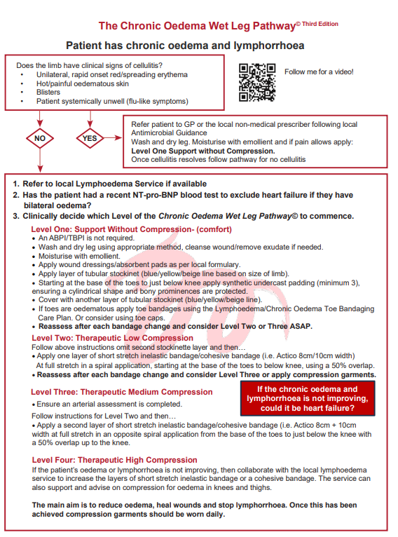 Chronic Oedema Wet Leg Pathway flowchart preview