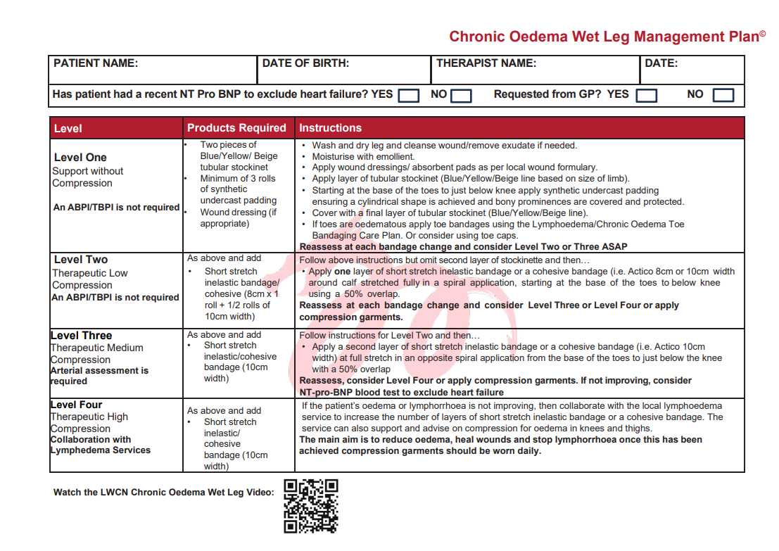 Chronic Oedema Wet Leg Pathway management plan preview