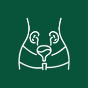 5. pelvic health and incontinence.jpg