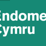 EndoCymruLogoOriginal.png