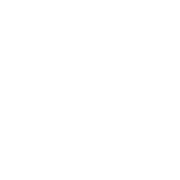NHS Audiology logo White