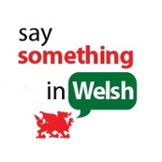 SaySomethingInWelsh