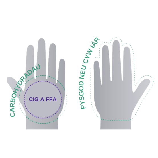 Hands visual food portions guide for carbohydrates, meat and beans and fish or chicken